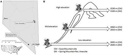 Great Basin Bristlecone Pine Volatiles as a Climate Change Signal Across Environmental Gradients